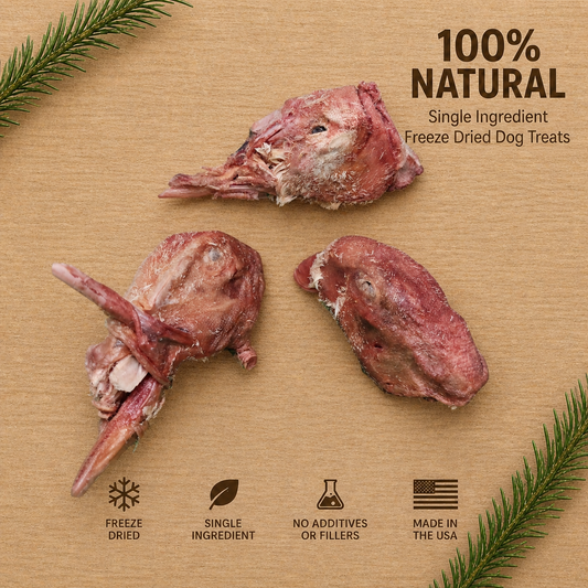 High-Protein Freeze Dried Duck Head | Natural Single Ingredient Dog Treats