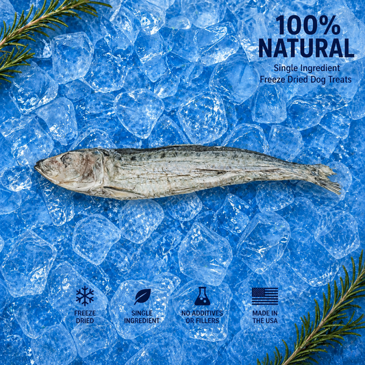 High-Protein Freeze Dried Sardine | Natural Single Ingredient Dog Treats