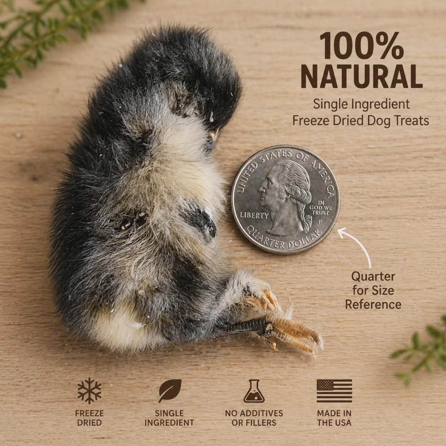 Freeze Dried Chicken (Baby) Subscription | Natural Single Ingredient Dog Treat 5ct