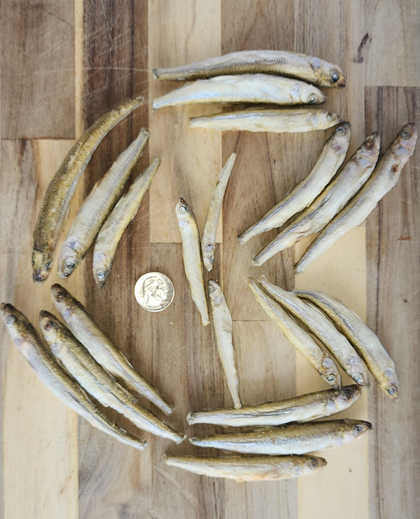 Freeze-Dried Smelt