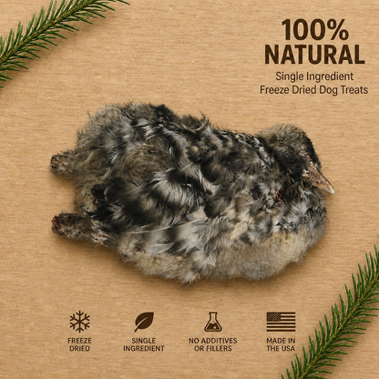 Freeze-Dried Whole Small Chicken Treats