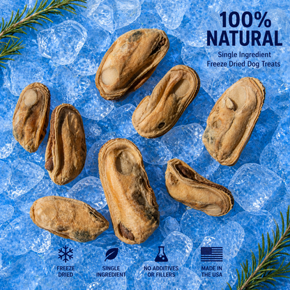 Freeze-Dried New Zealand Green-Lipped Mussel Treats