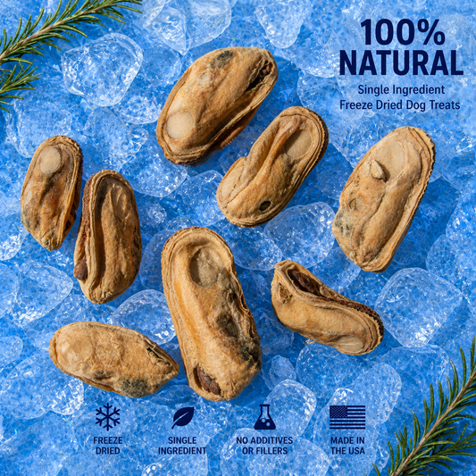 Freeze-Dried New Zealand Green Mussel - Premium Single Ingredient Dog Treats