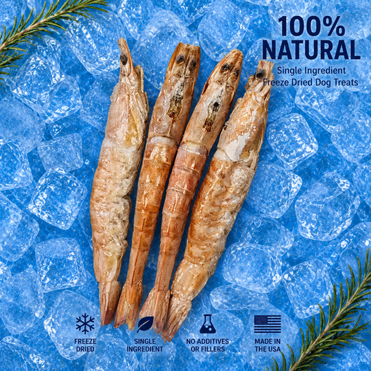 Freeze-Dried Shrimp (Jumbo) - Premium Single Ingredient Dog Treats