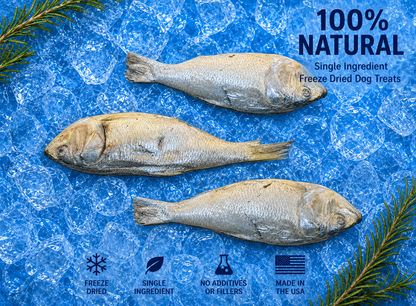 Freeze-Dried Medium Menhaden Dog Treats