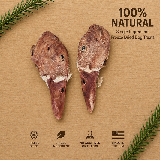 High-Protein Freeze Dried Duck Head | Natural Single Ingredient Dog Treats