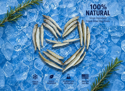Freeze-Dried Smelt - High-Protein Single Ingredient Dog Treats