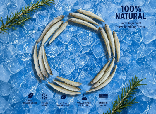Freeze-Dried Smelt - High-Protein Single Ingredient Dog Treats