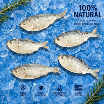 Freeze-Dried Mixed-Size Menhaden Dog Treats