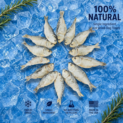 Freeze-Dried Mixed-Size Menhaden Dog Treats