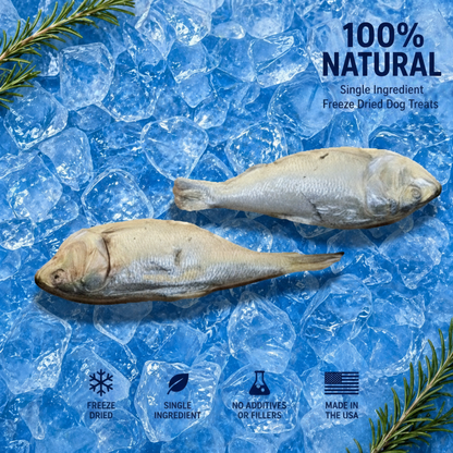 Freeze-Dried Medium Menhaden Dog Treats
