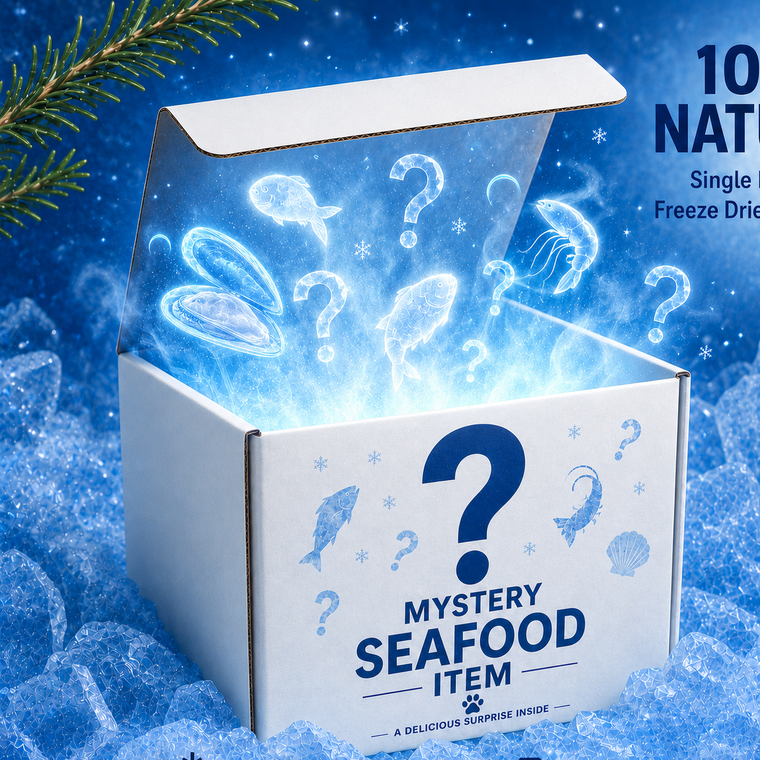 Mystery freeze-dried seafood treat on blue ice