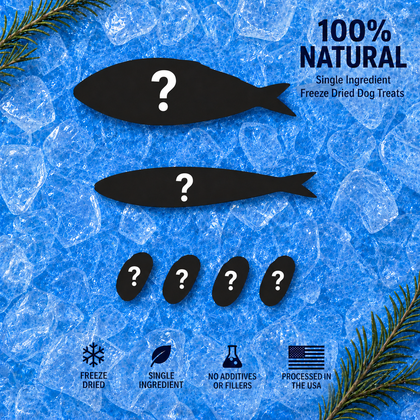 Mystery seafood silhouettes on an icy Frost Fang product card